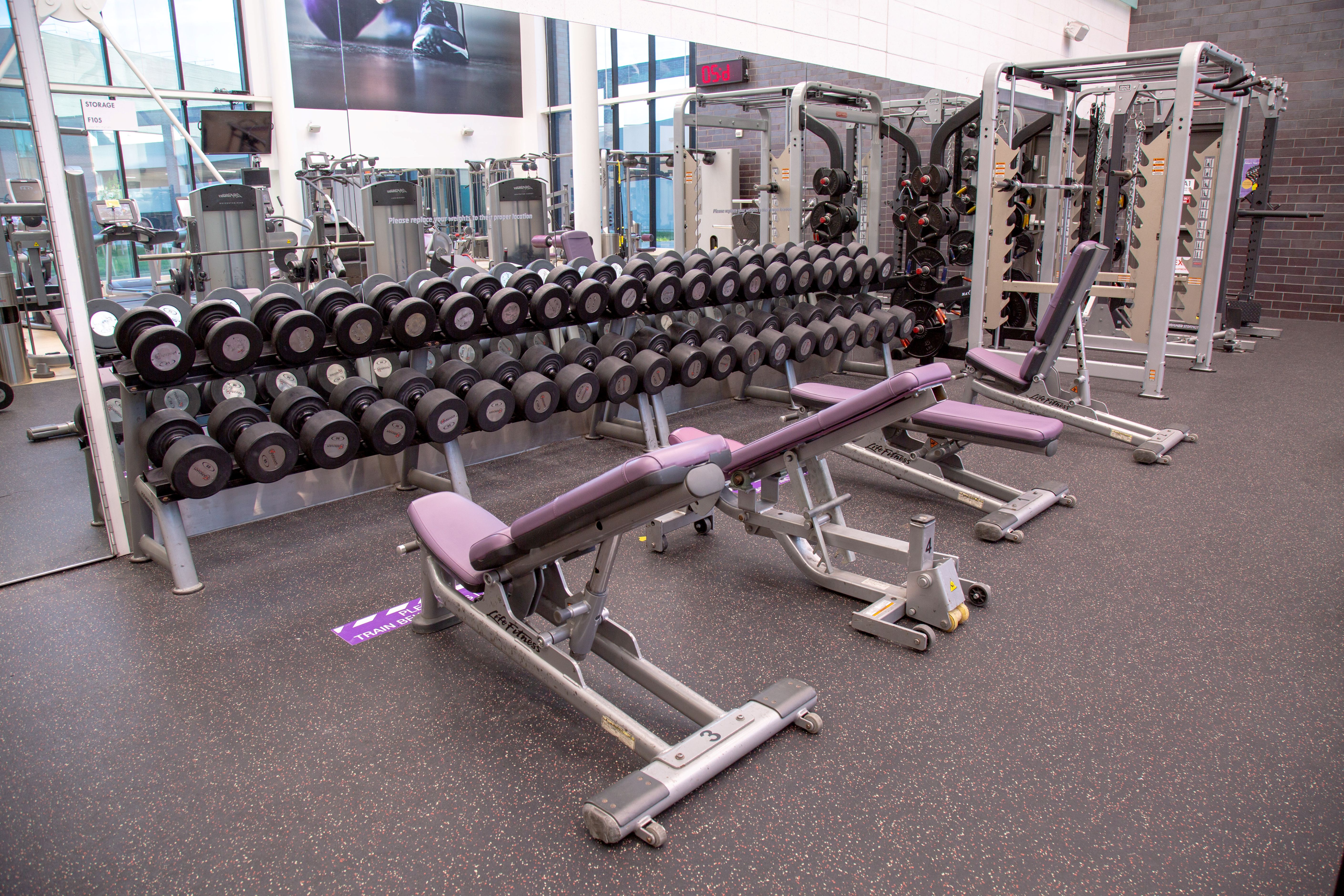 Row of dumbbells neatly arranged on racks beside adjustable weight benches in a spacious gym area.