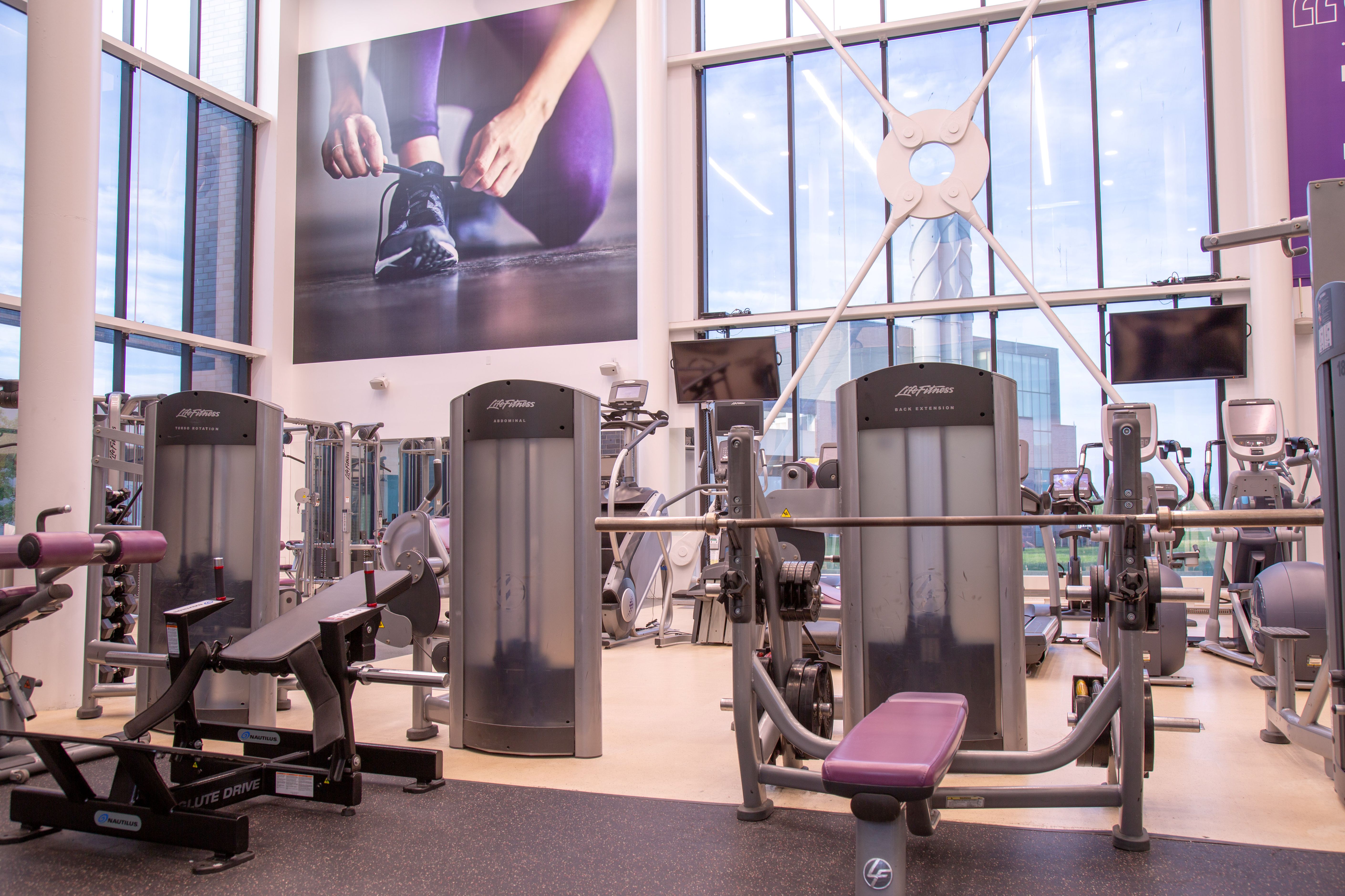 Modern gym interior with various strength training machines and large windows letting in natural light.