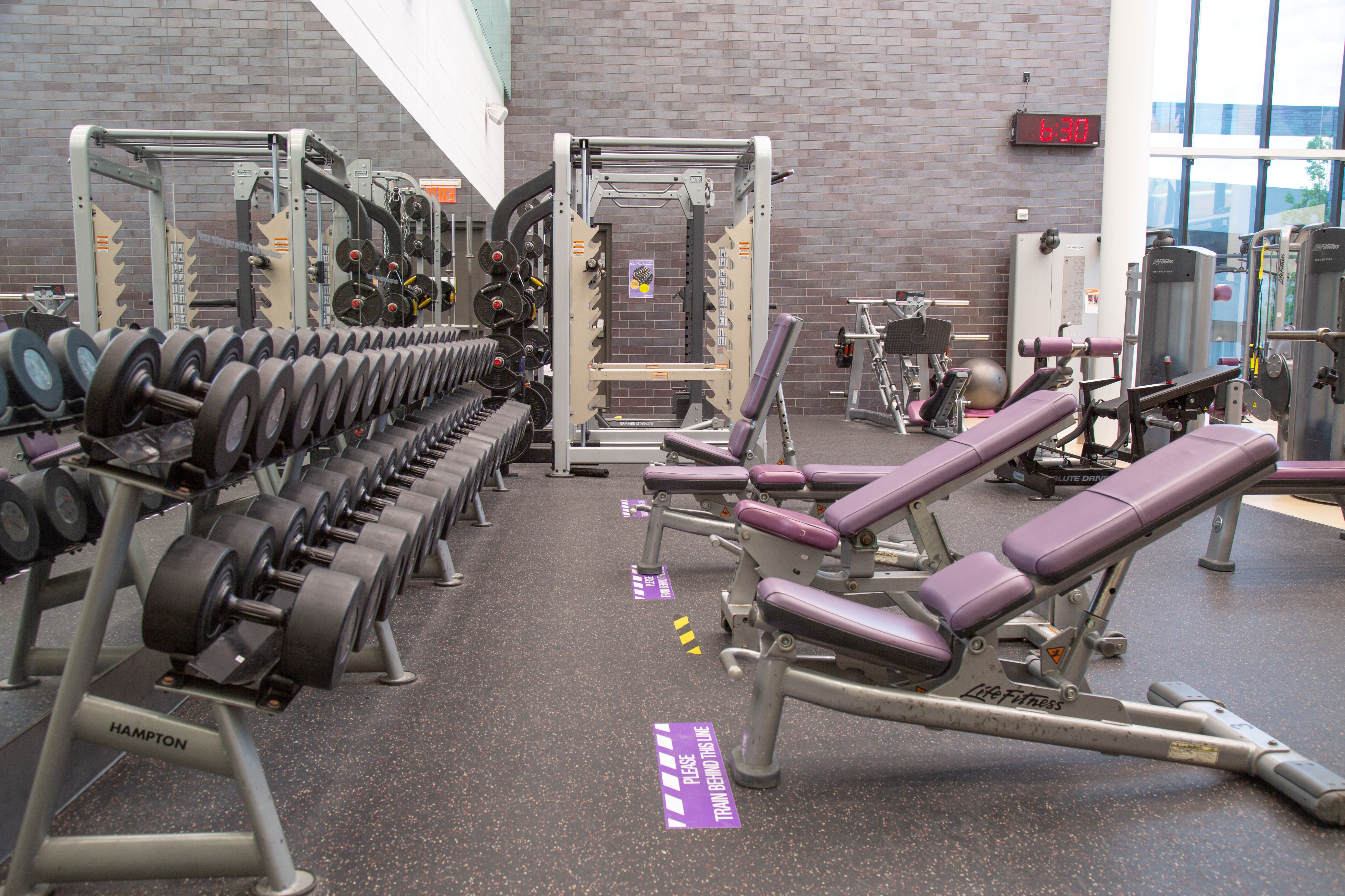 Row of dumbbells on racks next to adjustable weight benches in a spacious gym with gray walls and large windows.