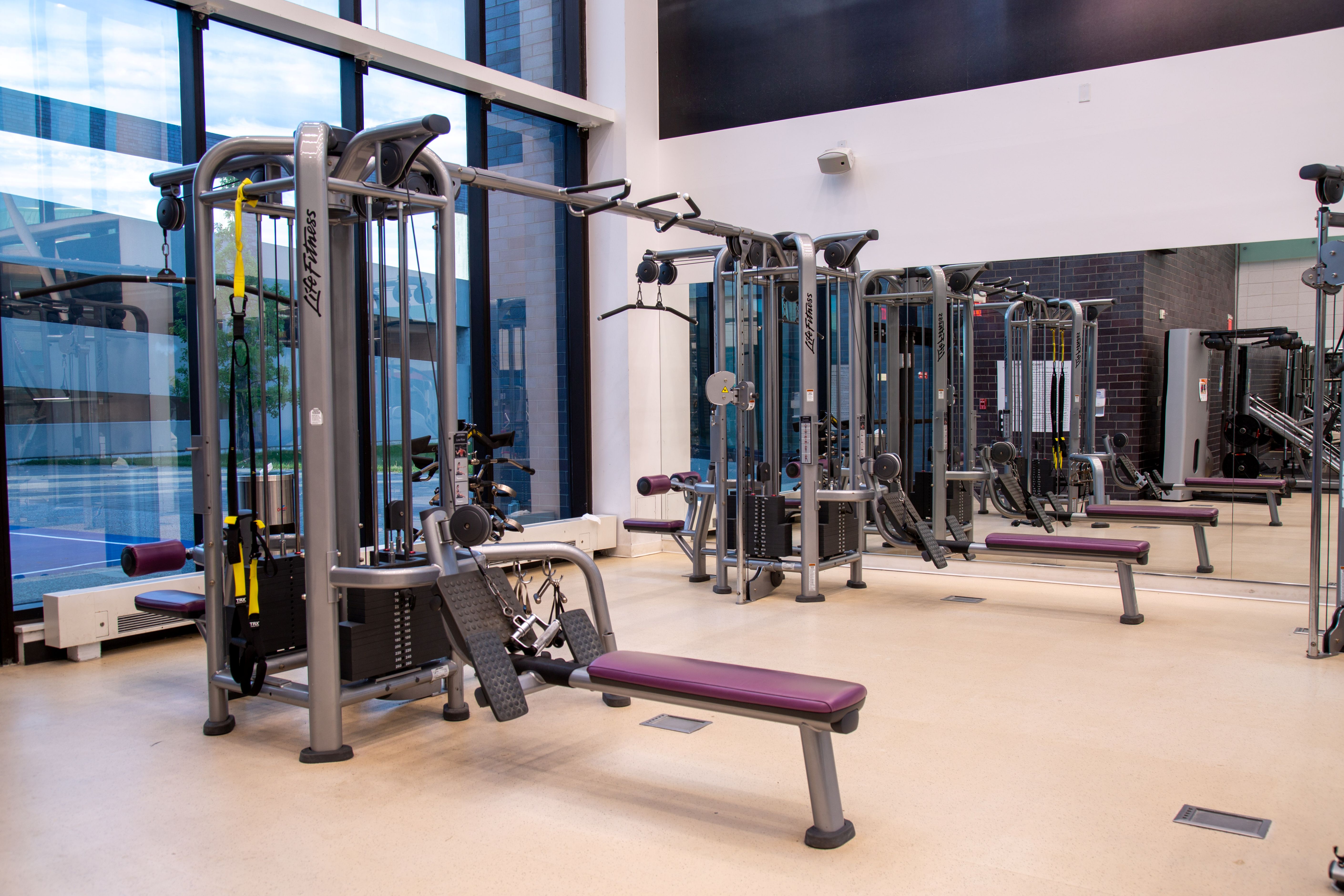 Modern gym interior with multiple strength training machines and purple padded benches near large windows.