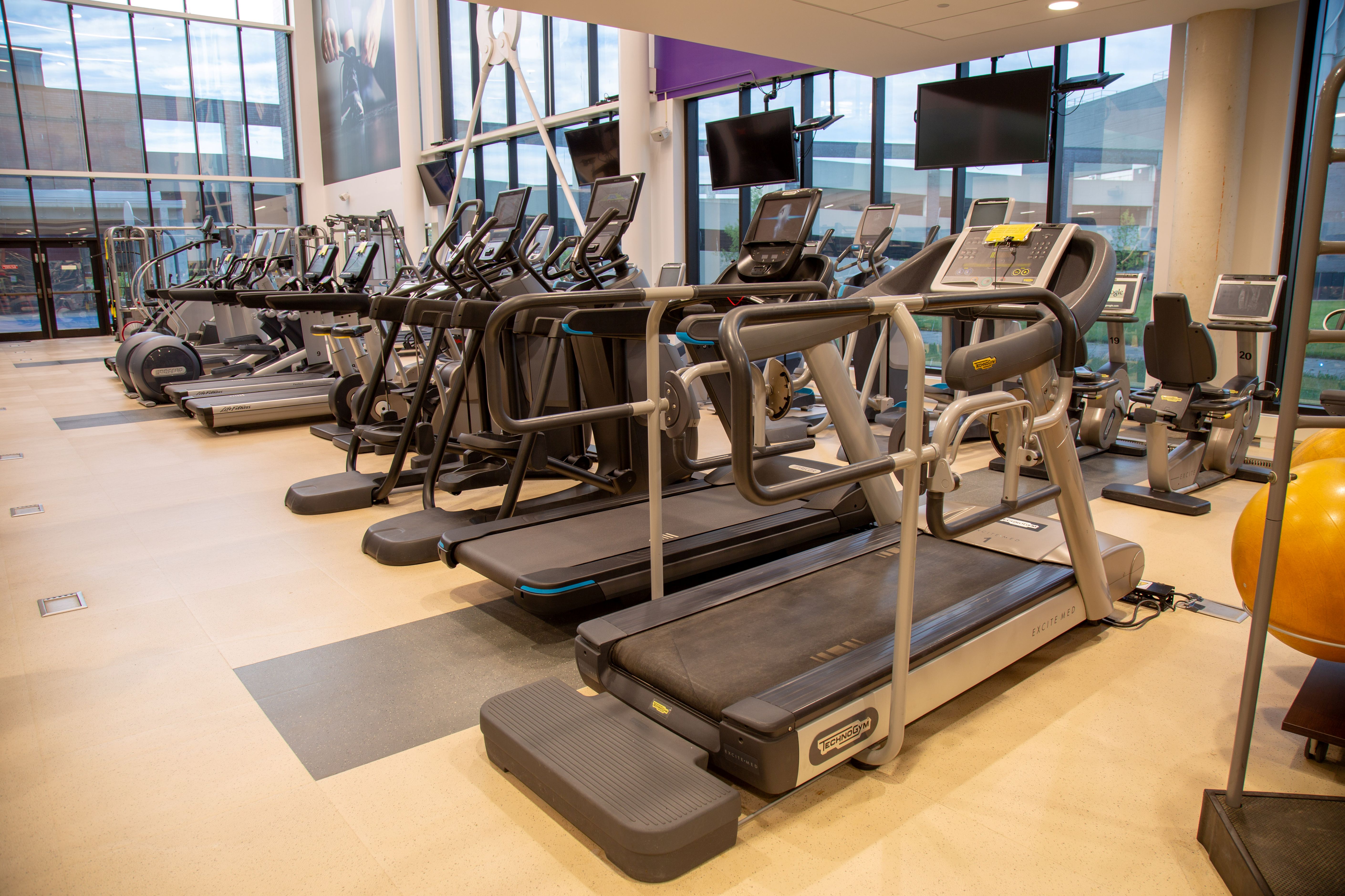 Modern gym interior with multiple treadmills and exercise bikes lined up near large windows letting in natural light.