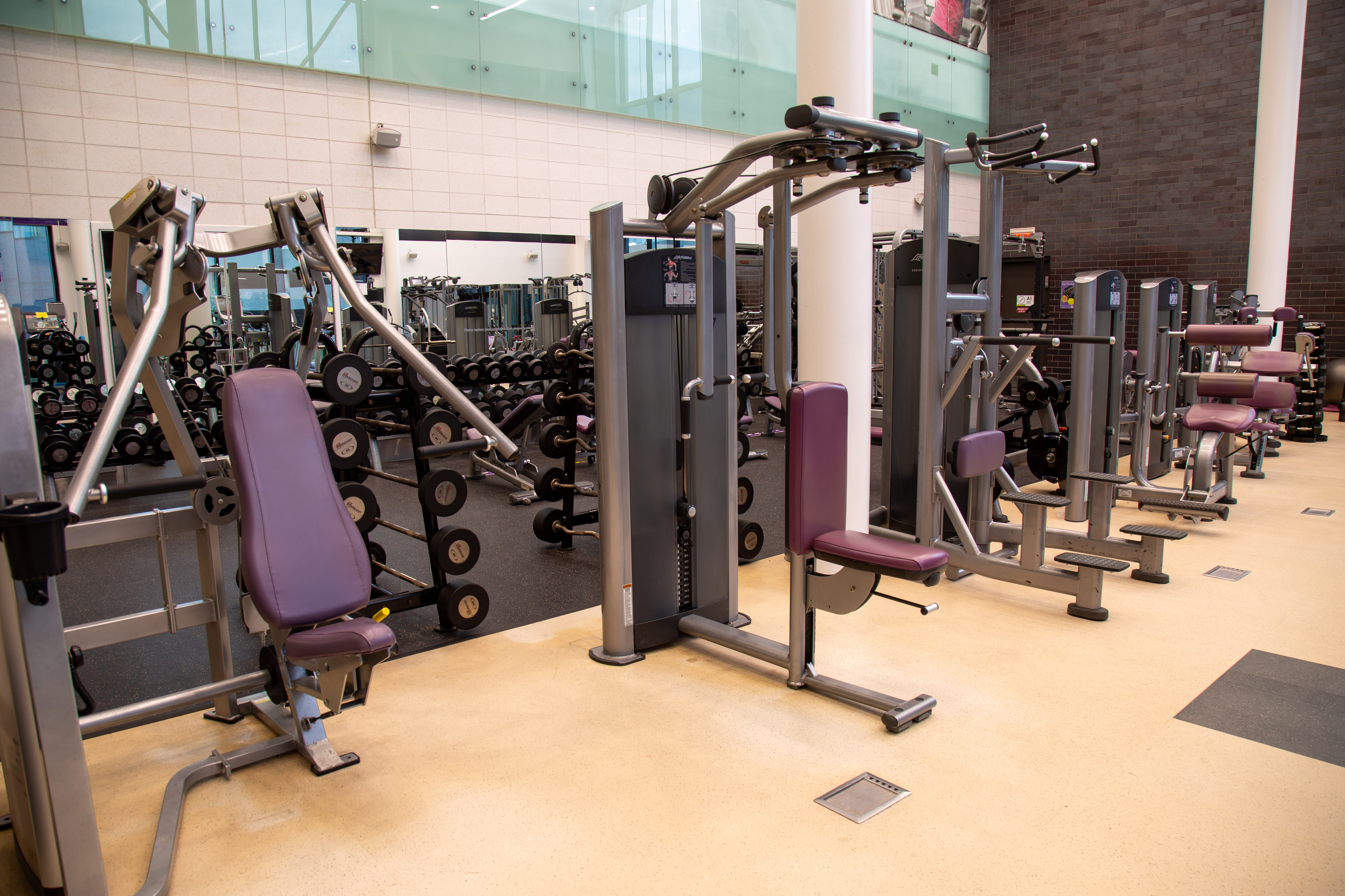 Modern gym interior with multiple strength training machines featuring purple padded seats and weight stacks.