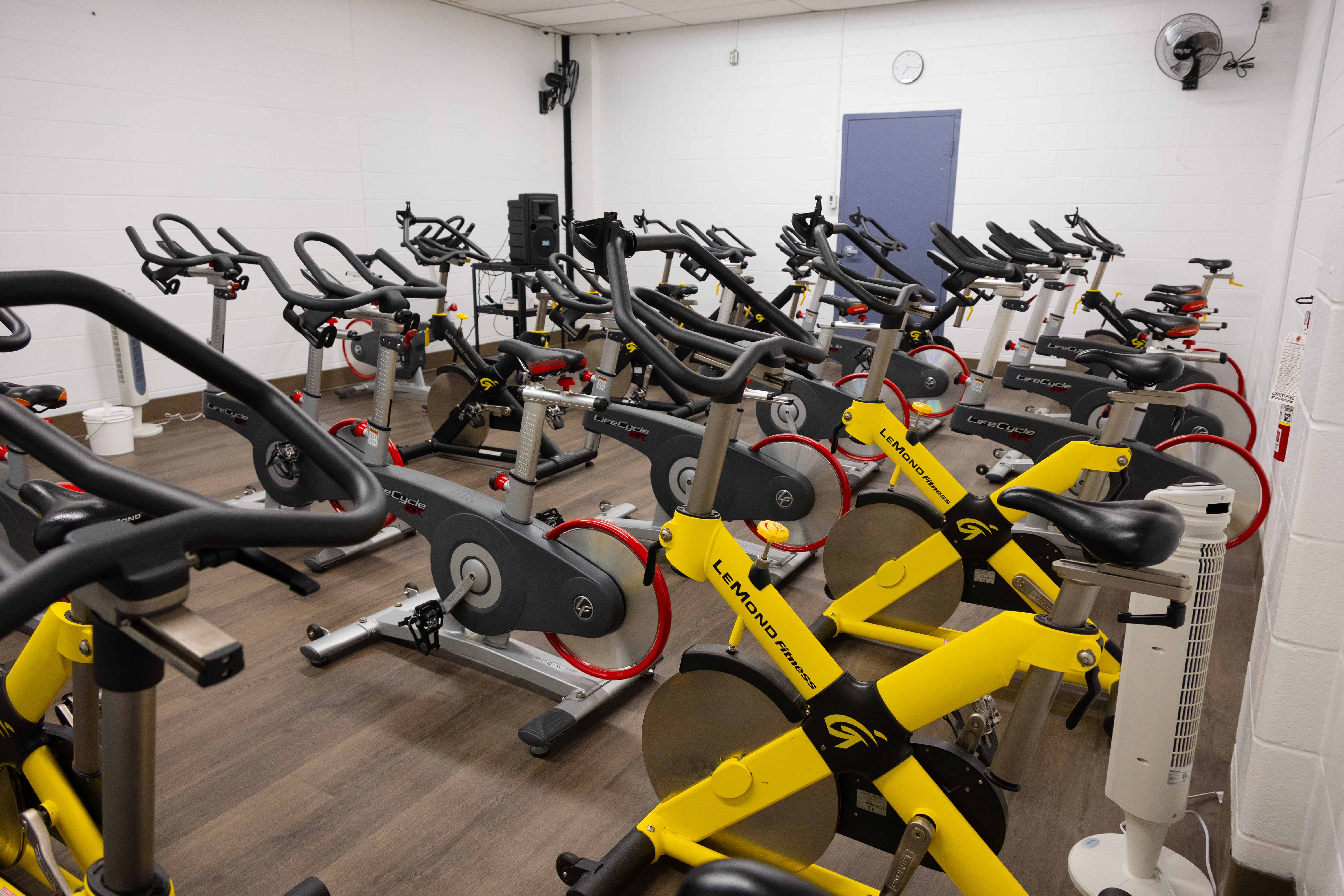 Indoor cycling studio with rows of stationary bikes, including bright yellow and gray models, arranged on a wooden floor.