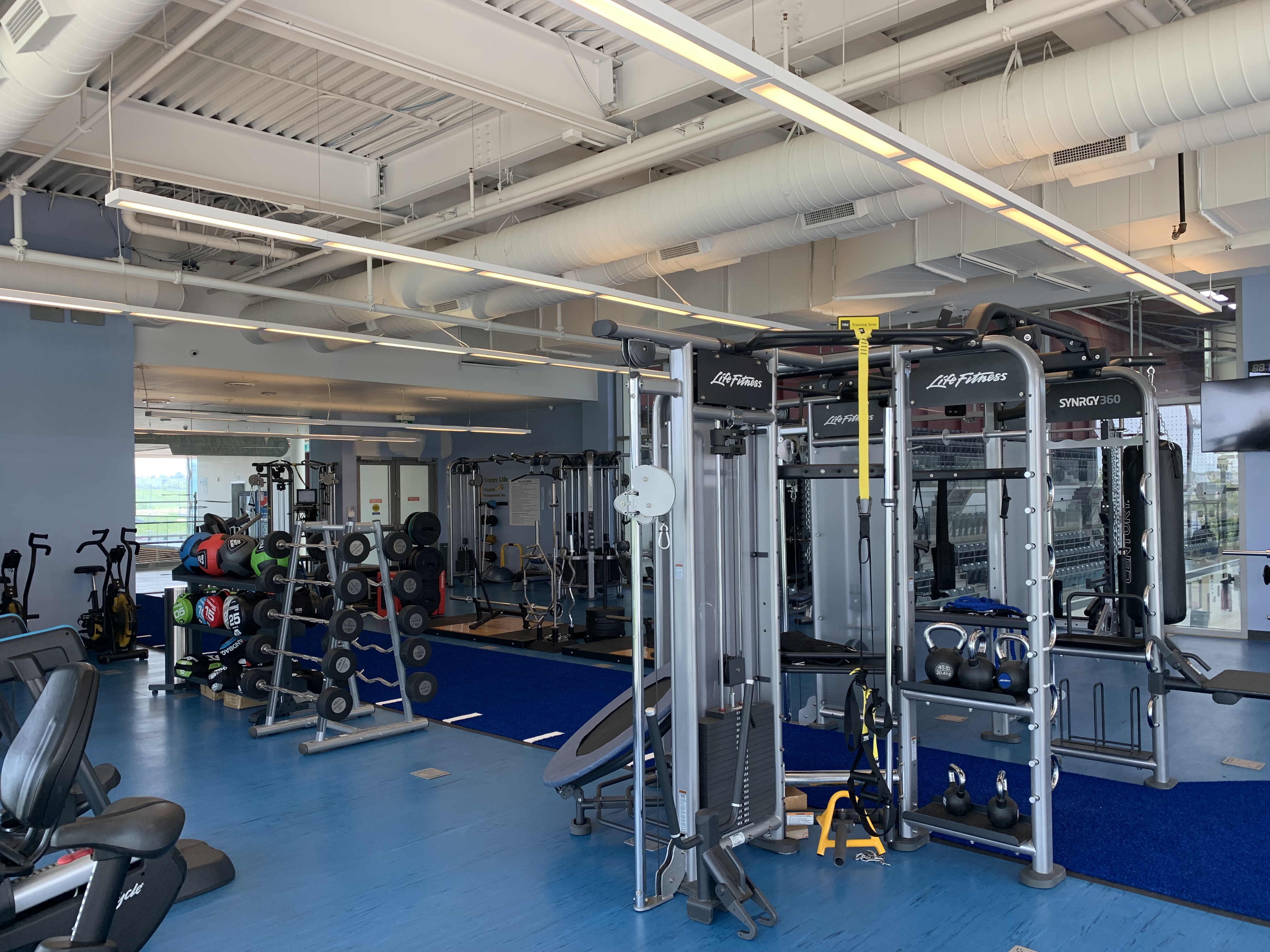Gym interior with barbells and cable machines.