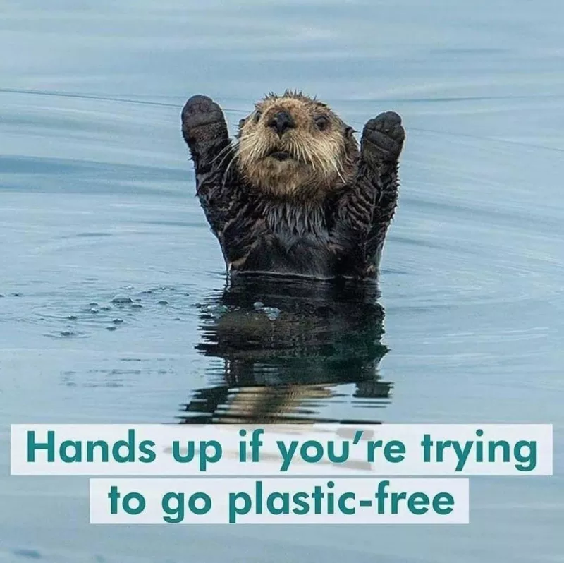 otter plastic free