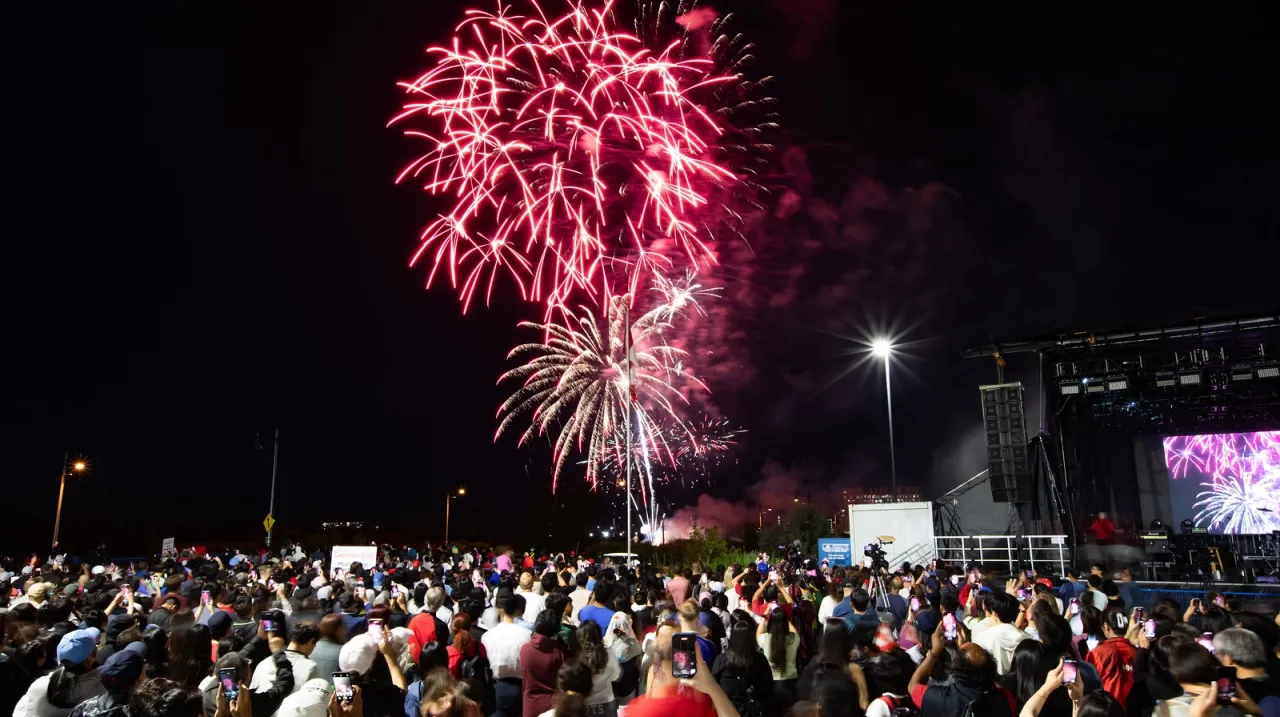 Crowd outdoors watching fireworks in night sky.