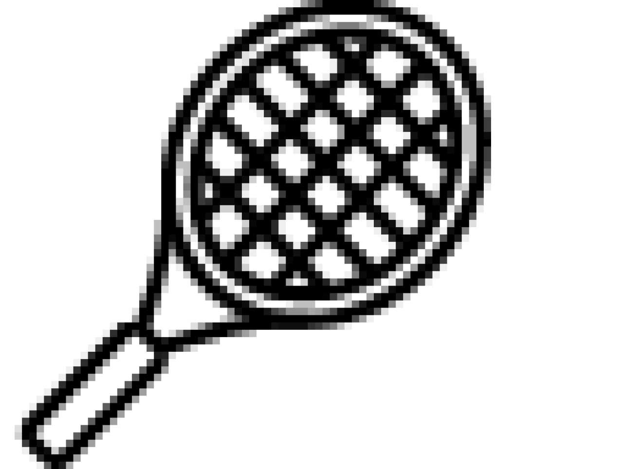 Icon of a racket.