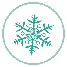 Icon of snowflake. 