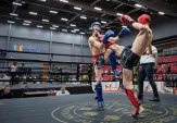 Century Cup Kickboxing Men Kicking