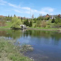 Markham Stormwater Pond