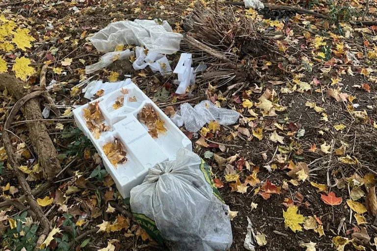 Trash littered across a forest ground floor.