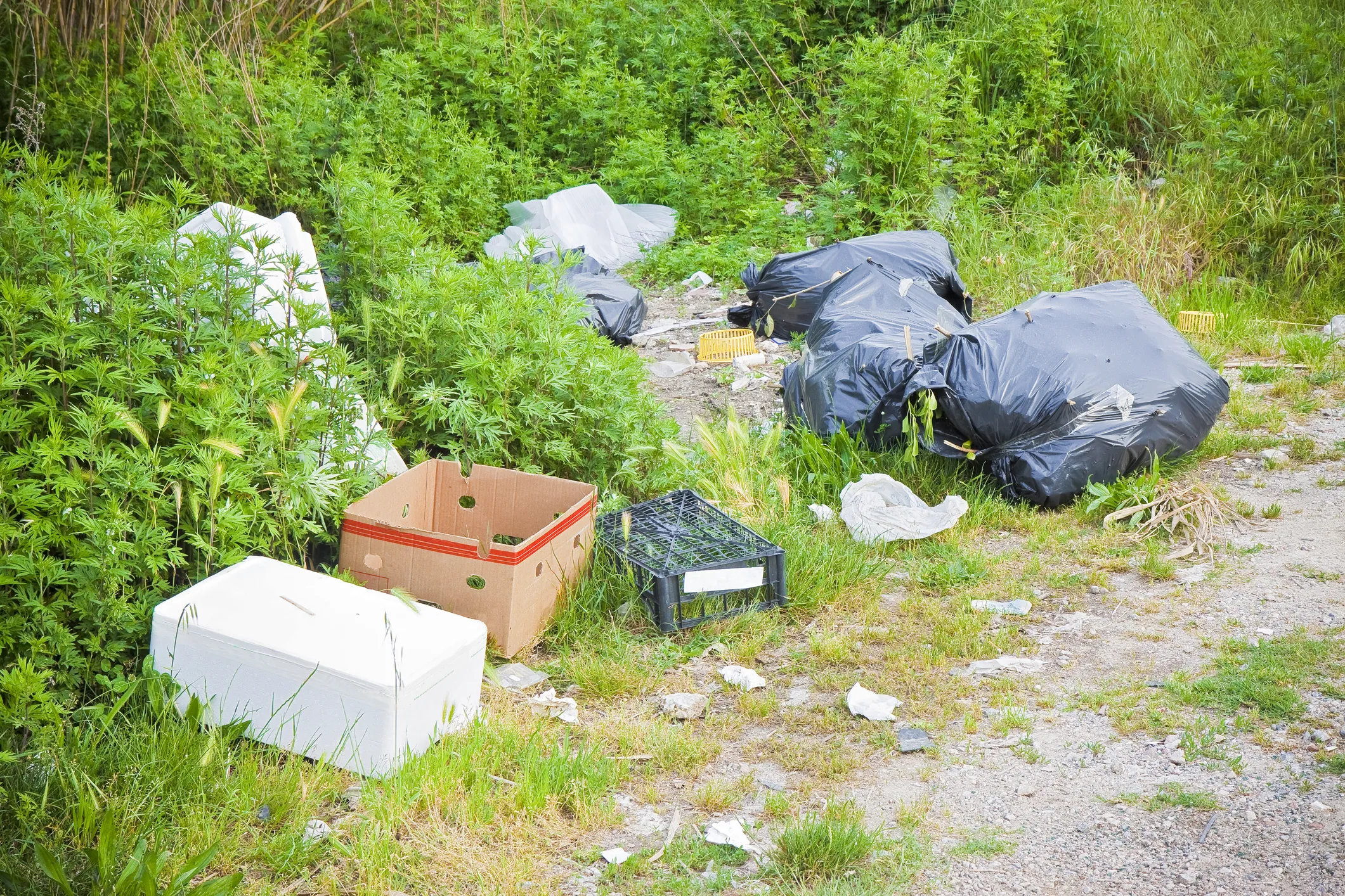 Garbage on grassy ground.