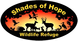 Shades of Hope Wildlife Refuge