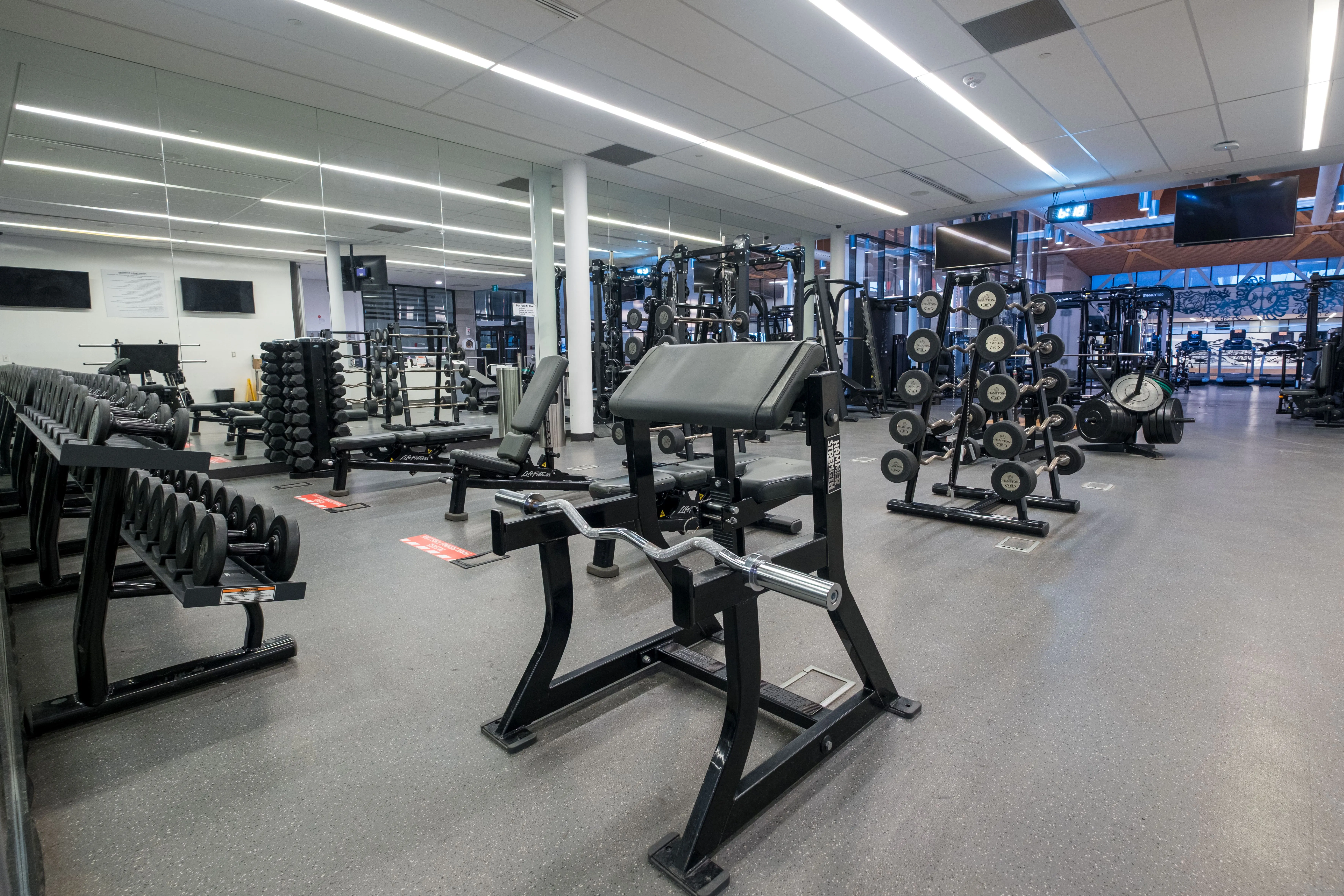 Spacious gym interior with various weightlifting machines, benches, and racks of dumbbells neatly arranged under bright ceiling lights.