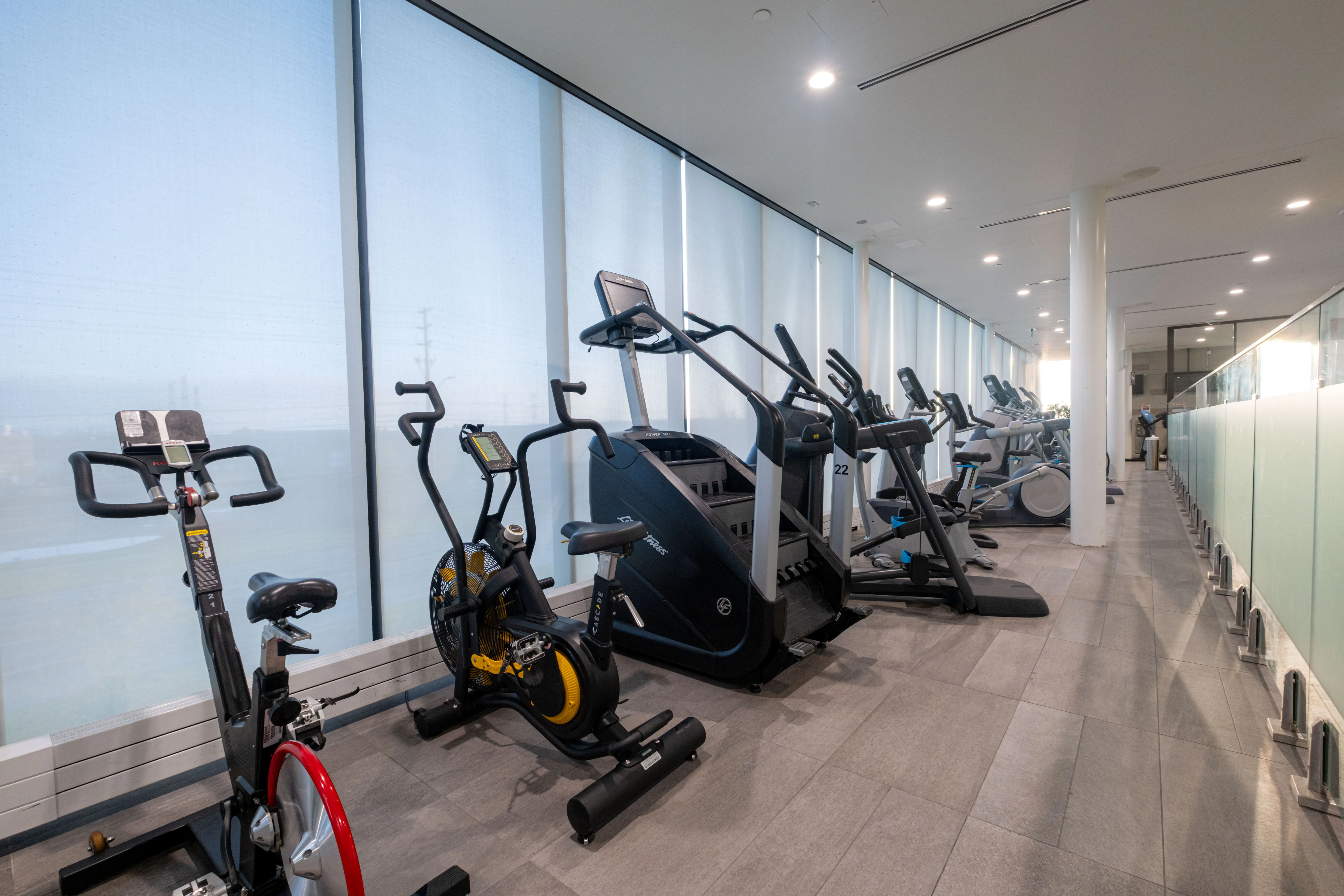 Row of modern cardio machines including stationary bikes and ellipticals in a bright gym with large windows.