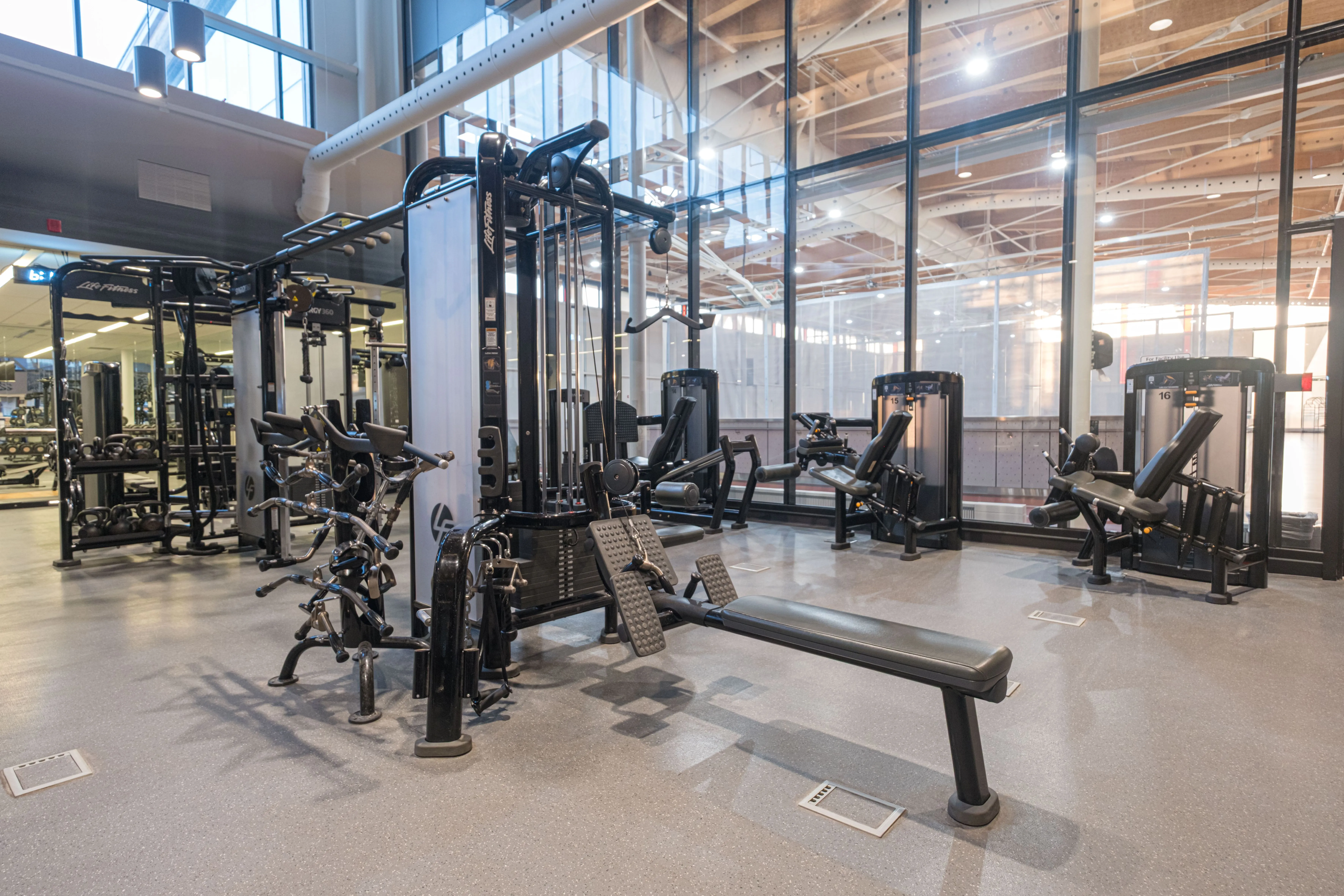 Spacious gym area with various strength training machines and large windows letting in natural light.