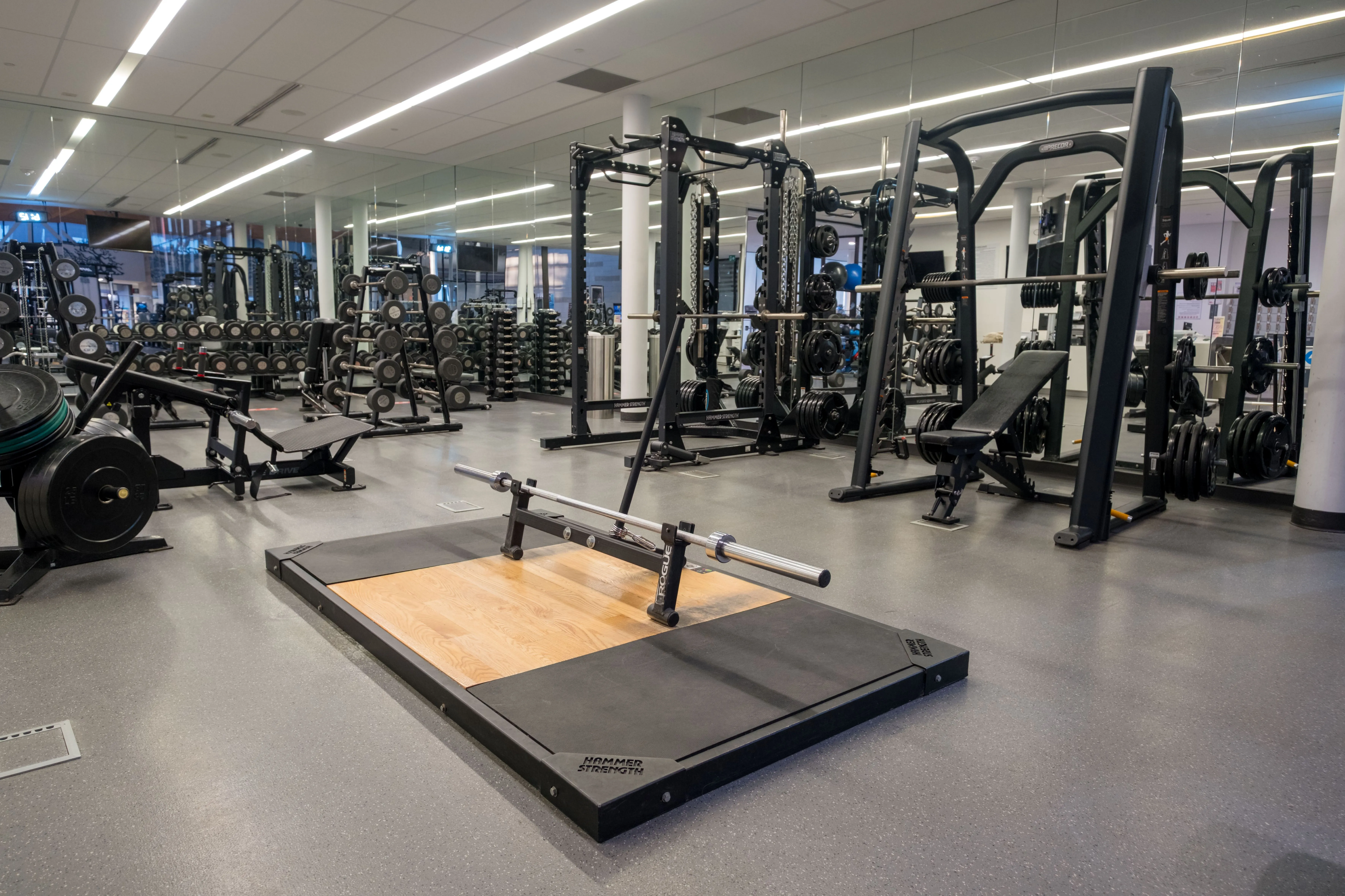 Spacious gym area with weightlifting platforms, squat racks, and various strength training equipment neatly arranged.