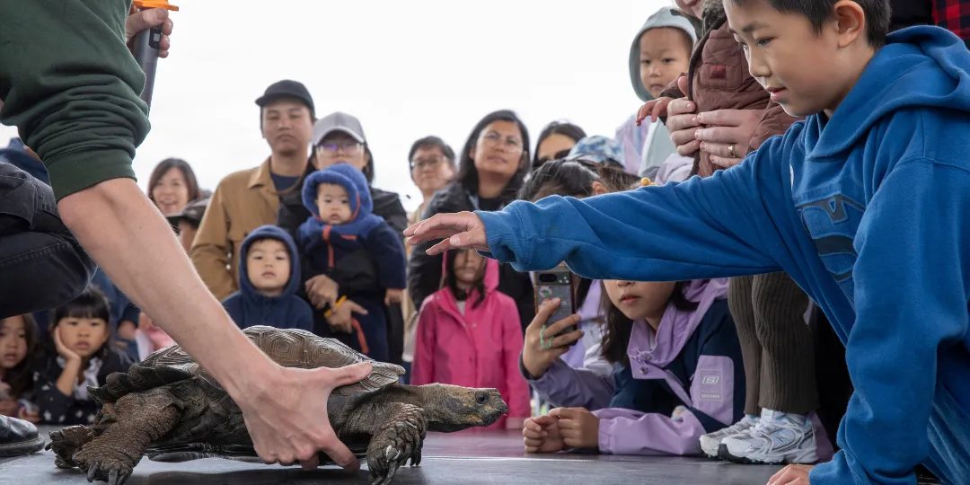 A crowd of adults and children gathers around a large tortoise on a table, while a child in a blue hoodie reaches out to touch the animal during an educational demonstration.
