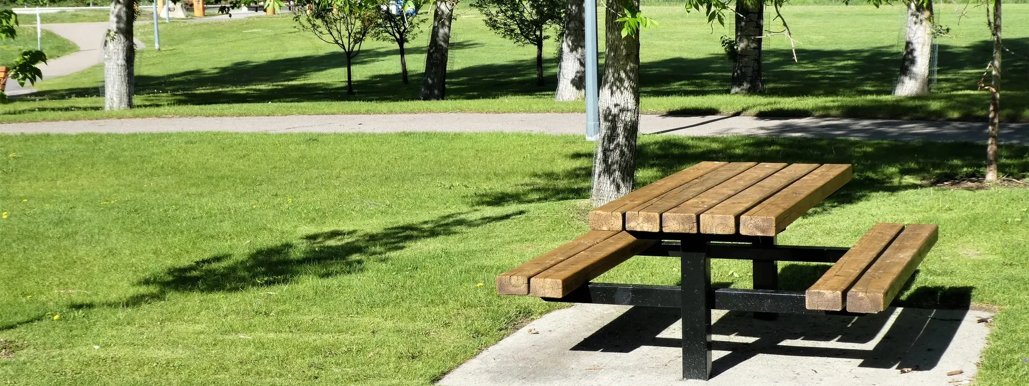 Park bench on a sunny day.